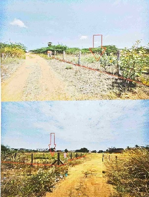 course